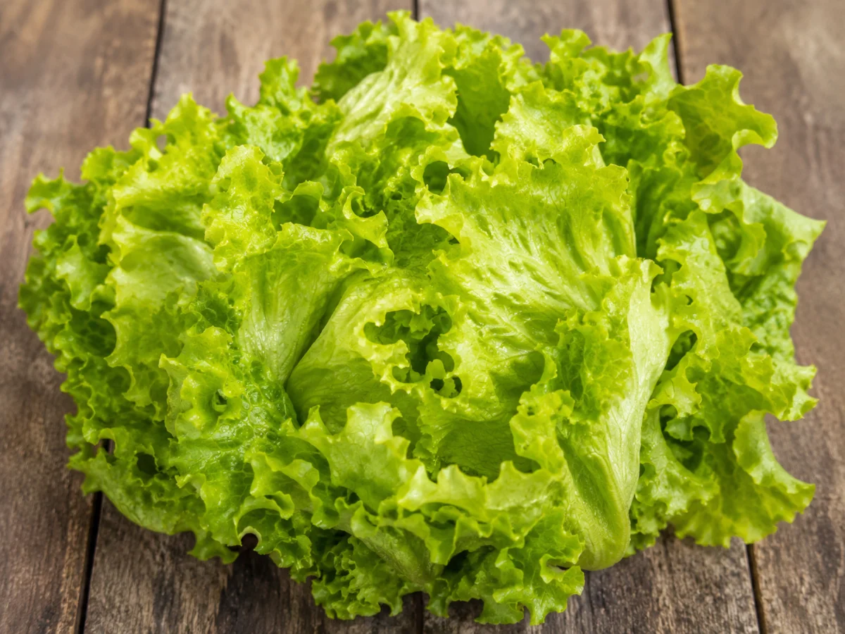 Hero lettuce photo