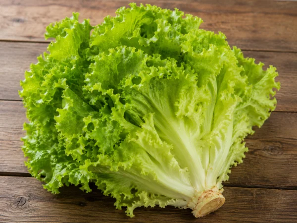 Batavia lettuce photo